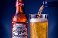 Budweiser